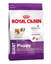 Picture of RCVCN PUPPY GIANT DOG         